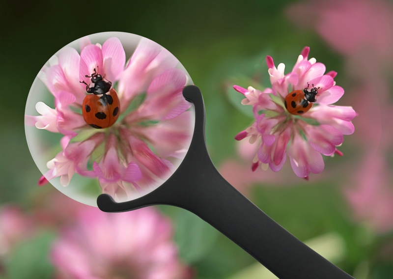 levenhuk_loupe_zeno_60_led_dop9