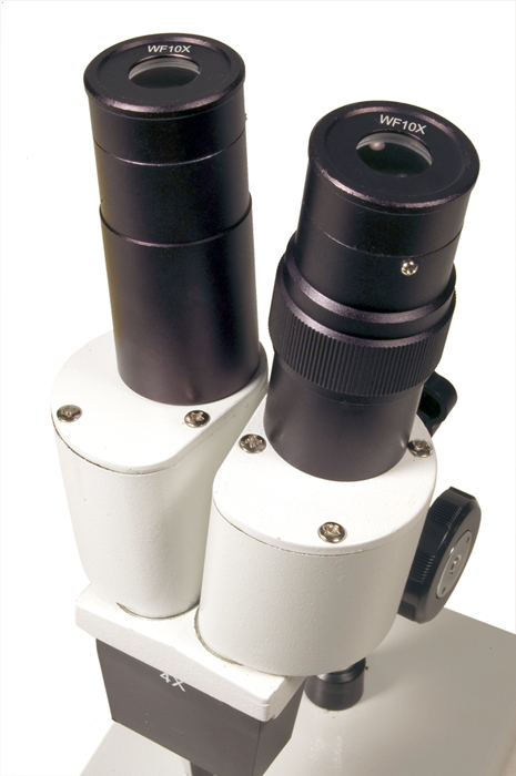 levenhuk_micro_2st_dop5